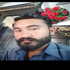 Muhammad Noman Qureshi-Freelancer in Islamabad,Pakistan