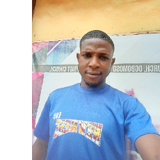 David Fagite-Freelancer in Lagos,Nigeria