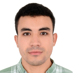 Islam Samy-Freelancer in Dubai,UAE