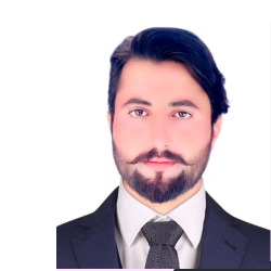 Taimour Hussain-Freelancer in Peshawar,Pakistan