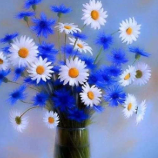 Viktorija Sulimova-Freelancer in Kyiv,Ukraine