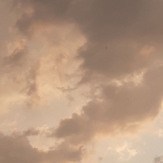 Anusha Abdul Ahad-Freelancer in Karachi,Pakistan