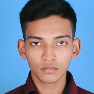Avijit Mallik-Freelancer in Rajshahi,Bangladesh