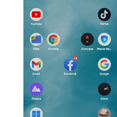 Shahriya Mahfuj-Freelancer in Naogoan,Bangladesh