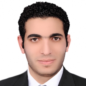 Hossam Hassan Mohamed Abdellatif-Freelancer in Cairo,Egypt