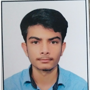 Mr Sheeraz-Freelancer in Hyderabad,Pakistan