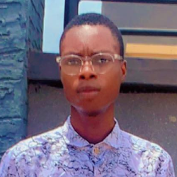 Alimi Timileyin-Freelancer in Atakunmosa West,Nigeria