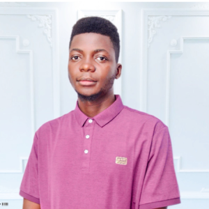 Akinsola Micheal-Freelancer in Lagos,Nigeria