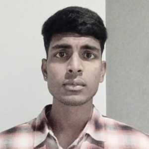 Dhanasekaran E-Freelancer in Pune,India