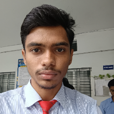Prajwal Padole-Freelancer in Nag,India