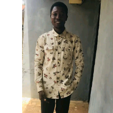 Opeyemi Adekunle-Freelancer in Lagos,Nigeria