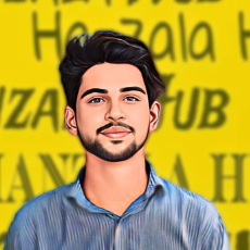 Muhammad Hanzala-Freelancer in Kabirwala,Pakistan