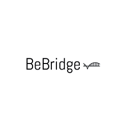 Bebridge Management-Freelancer in ,Philippines