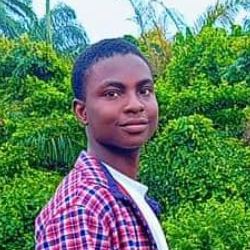 Makinde Mubarak-Freelancer in Lagos,Nigeria