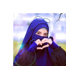 Tehmina Amjad-Freelancer in Fisalabad,Pakistan