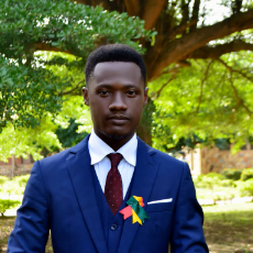 Richard Sarkodie-Freelancer in La-Nkwantanang-Madina,Ghana