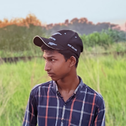 Mahin Islam-Freelancer in Sylhet,Bangladesh