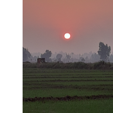 Zobia Shahbaz-Freelancer in Lahore,Pakistan