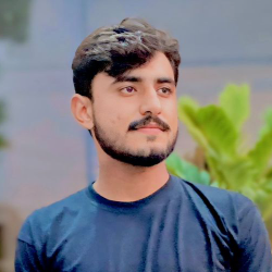 Muhammad Umair-Freelancer in Sargodha,Pakistan