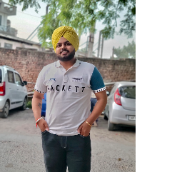 Parmeet Singh-Freelancer in Faridabad,India