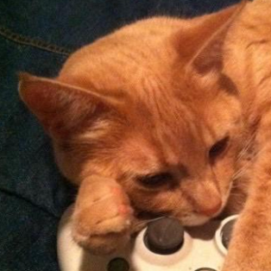 FlatV4-Freelancer in Kanagawa,Japan