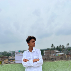 Samim Sardar-Freelancer in Kolkata,India