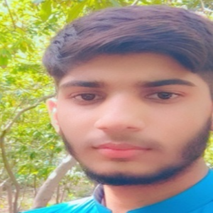 Muhammad Zeeshan-Freelancer in ISLAMABAD,Pakistan