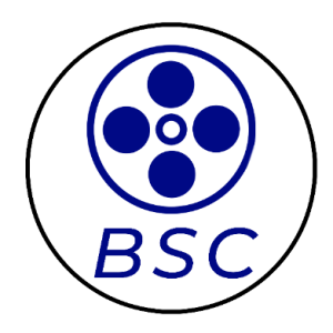 BSC Visual Arts.-Freelancer in Banjul,Gambia the