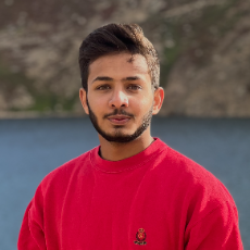 Anas Nadeem-Freelancer in Lahore,Pakistan