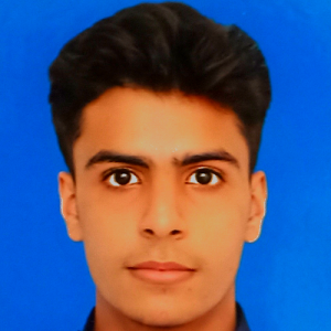 Atif Javed-Freelancer in Rahim Yar Khan,Pakistan