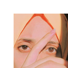 Sofia Parveen-Freelancer in Islamabad,Pakistan