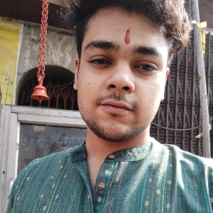 Jayant Chauhan-Freelancer in roorkee,India