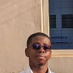 Promise Udemba-Freelancer in Abuja,Nigeria