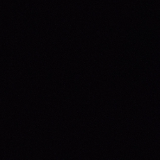 Sana Patel-Freelancer in India,India