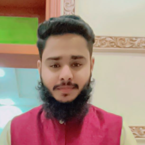 Muhammad Moiz-Freelancer in Islamabad,Pakistan
