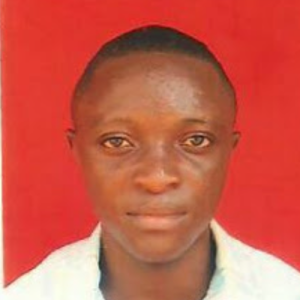 Ibraheem Abubakar-Freelancer in Abuja,Nigeria