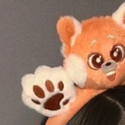 simt Unique-Freelancer in Bahwalnagar,Pakistan