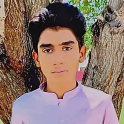 Ali Raza-Freelancer in Burewala,Pakistan