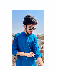 Talha Usman-Freelancer in Gojra,Pakistan