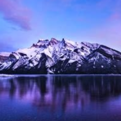 Liam Rastegar-Freelancer in kerrville,USA