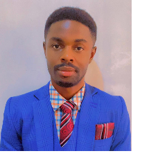 Nelson Onyeoguzoro-Freelancer in Abuja,Nigeria