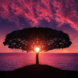 Anuragi Upeksha-Freelancer in Colombo,Sri Lanka