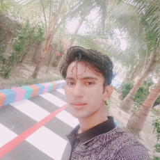 Shom Shul Hoque-Freelancer in Kutupalon,Bangladesh