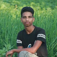 Md. Sujon Ali-Freelancer in Chapainawabganj District,Bangladesh