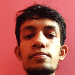 Tanvir Irfan-Freelancer in Rāmganj,Bangladesh