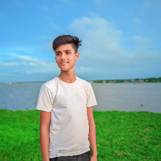 Mahadi Hasan Shadin-Freelancer in Brahmanbaria,Bangladesh