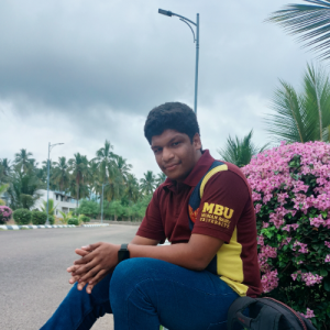 Kushal Sai-Freelancer in Piler,India