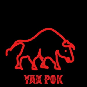 YASI-Freelancer in Lahore,Pakistan
