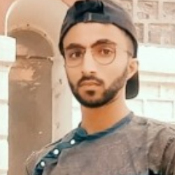 Md Sufiyan-Freelancer in bihar,India