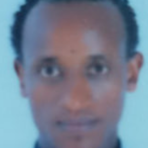 Mamo Gamu-Freelancer in Addis Ababa,Ethiopia